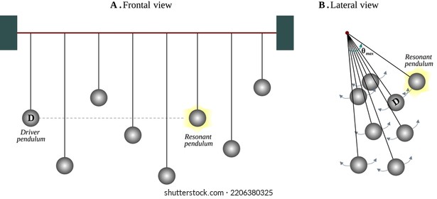 Coupled resonant pendulums: only pendulums with the same length enter into resonance