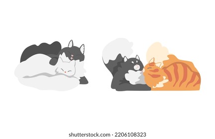 Couples Of Adorable Fluffy Cats Set. Cute Cats Hugging While Sleeping Cartoon Vector Illustration