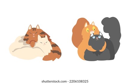 Couples Of Cute Fluffy Cats Set. Adorable Hugging Cats Cartoon Vector Illustration