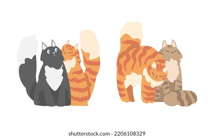 Couples Of Cute Hugging Cats Set. Funny Fluffy Cats In Love Cartoon Vector Illustration