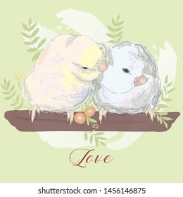 Couples in love. Cute parrots are sitting on a branch with a flower. Couple of lovely budgies kissing on a branch.