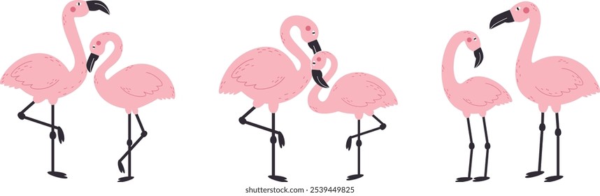 Couples in love flamingo set. Exotic pink birds. Concept for valentine's day.