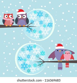 Couples of owls and birds winter
