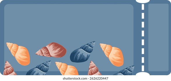 coupon with a marine theme, namely with colorful sea shells of various shapes on a blue background
