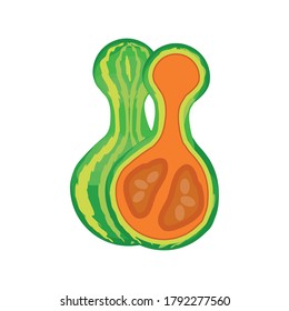 courgette fresh on white background vector illustration design