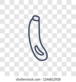 Courgette icon. Trendy linear Courgette logo concept on transparent background from Fruits and vegetables collection