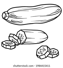 Courgette isolated on white background. Full courgette and slice. Vector hand drawn outline illustration. Ingredient for cooking. Harvest. Farm vegetable.