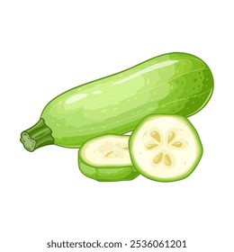 Courgette, whole and sliced, vector illustration isolated on white background, eps10