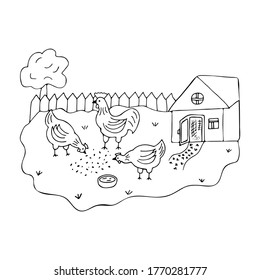 Courtyard in the village with walking hens and a cock. Doodle black and white vector illustration in cartoon style. Poultry on a walk. Summer time. Coop in the yard. Country life