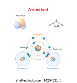 Covalent Bond For Example Water Molecule (H2O). Is A Molecular (chemical) Bond That Involves The Sharing Of Electron Pairs Between Atoms. Structural Formula, Balls And Sticks Model, Hydrogen Bonding. 