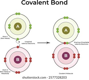 Covalent Bond Formation Design Vector Illustration