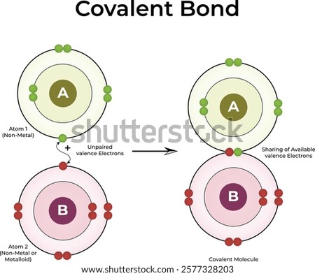 Covalent Bond Formation Design Vector Illustration