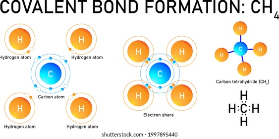 covalent bond formation in methane molecule: lewis structure