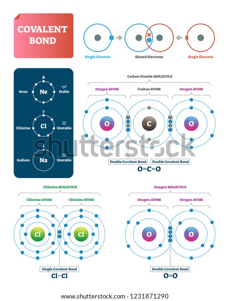 Covalent Bond Vector Illustration Process Explanation Stock Vector Royalty Free 1231871290 