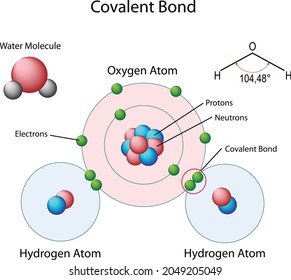 Covalent Bond Water Diagram Stock Vector (Royalty Free) 2049205049 ...