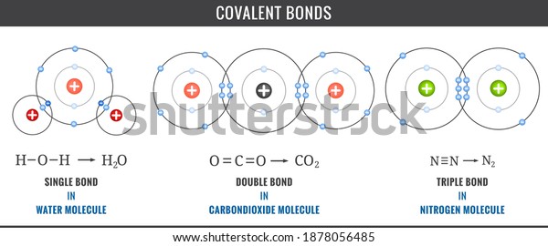 Covalent Bonds Covalent Bonds Including Single Stock Vector Royalty Free 1878056485 