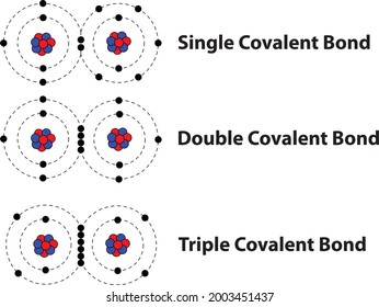 Covalent bonds [Single, double, triple]