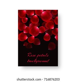 Cover of the catalog with bright red rose petals for a loving design