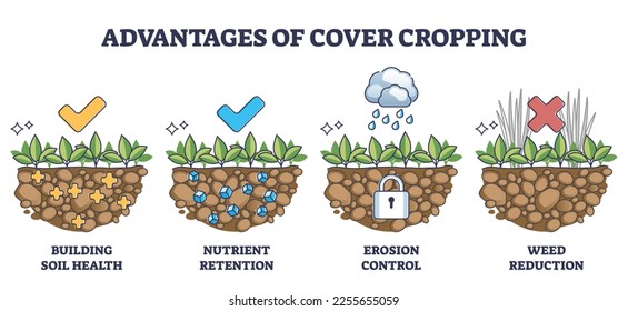 Cover crops cultivation or growing advantages for soil health outline diagram. Labeled educational scheme with earth health, nutrient retention, erosion control and weed reduction vector illustration