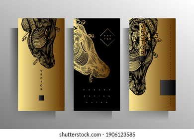 Cover design for brochure, poster, flyer, booklet, catalog template set. Hand drawn graphic elements black with gold. Vector 10 EPS.