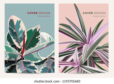 Cover design concept in vintage style. Leaves of ficus and tradescantia. Vector template