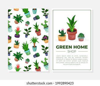 Cover Design with Houseplant in Ceramic Pots Growing Indoors Vector Template