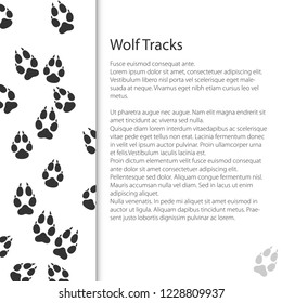 Cover Design with Traces of Forest Animal, Traces of a Predatory Animal Wolf, Vector Illustration