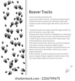 Cover design with traces of forest animal, European beaver mammal footprint, vector illustration
