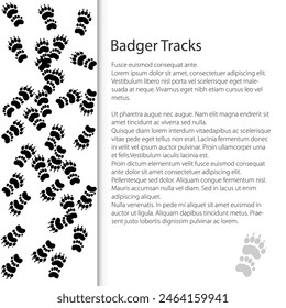 Cover design with traces of forest animal, European badger footprint, vector illustration