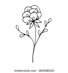 Cover Highlight Icon. Trendy abstract organic and graphic element. Art foliage natural leaves herbs in line style