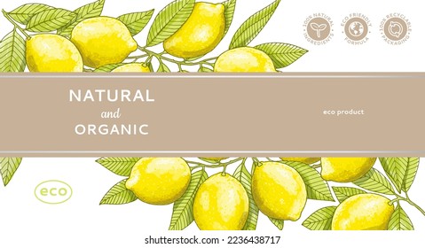 Cubierta con rama de árbol de limón aislada en fondo blanco. Vegetariano, comida orgánica. Ilustración vectorial. 