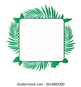 Cover, place for an inscription, postcard. Vector Bright Green Palm Leaves Square Shape White Background Textures for design, photo overlay. Place for your text. 