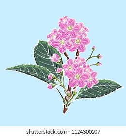 Cover template with a wreath of flowers for brochures, posters, banners, postcard.