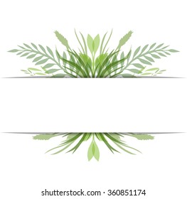 Cover with vector leaves, plants and herbs with space for text for your creativity