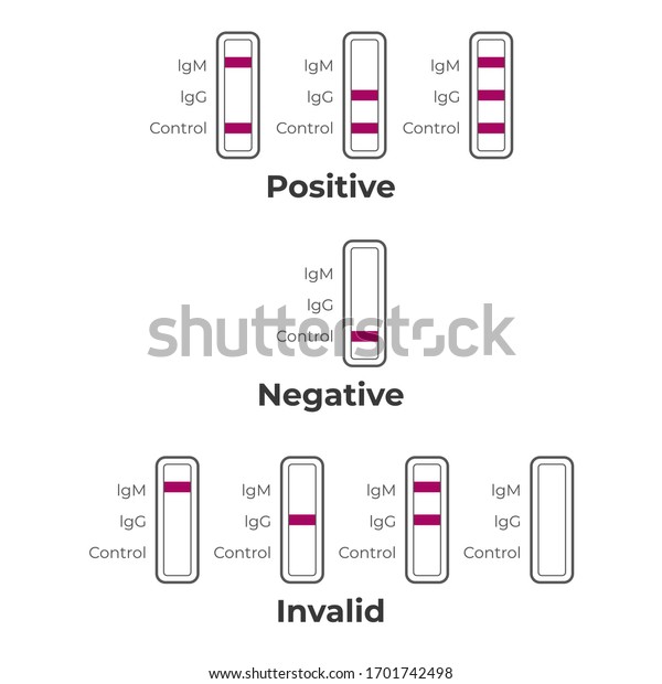 Covid 19 Rapid Test Kit Results Stock Vector Royalty Free 1701742498