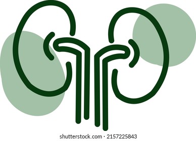 Covid problemas de riñón de virus, ilustración, vector sobre un fondo blanco.