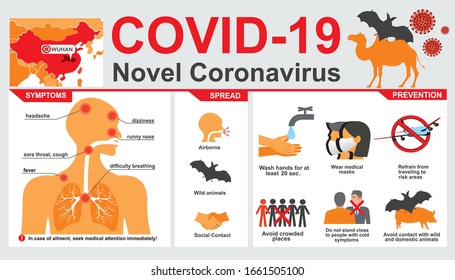 COVID-19. Novel Coronavirus. 2019-nCoV disease prevention infographic with icons and text, healthcare and medicine concept. Flu spreading of world, SARS pandemic risk alert. Vector.