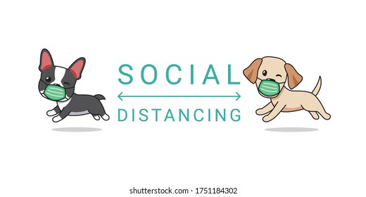 Covid-19 Protection Concept Cartoon Character Boston Terrier And Labrador Retriever Dog Wearing Protective Face Mask Social Distancing For Design.