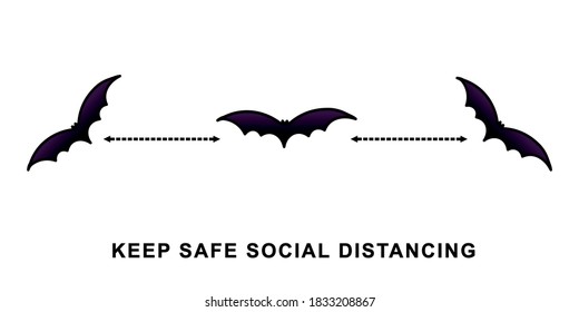 COVID-19 protection. Halloween flying bat icon. Social distancing infographic isolated on white background.