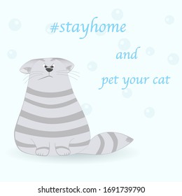 COVID-19 Quarantine lockdown country. Gray cat asks to stay home. Health care, self isolation.