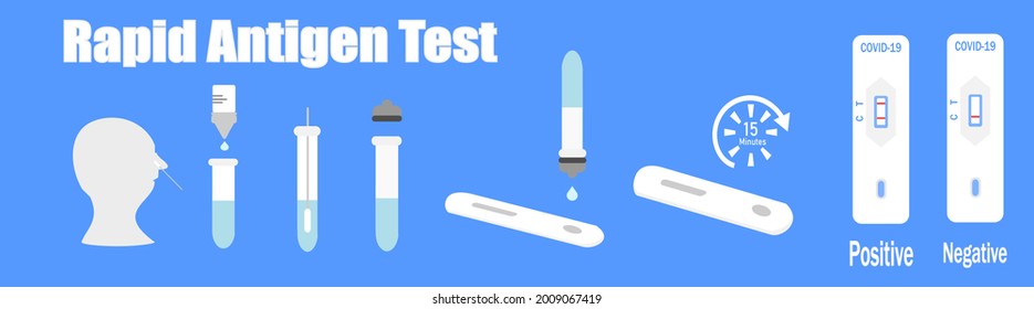 Covid-19 Rapid Antigen test procedure  nasal swab from male patient