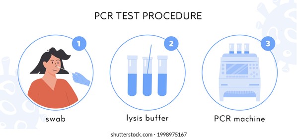 Covid-19 test procedure Infographic. A doctor or nurse in latex gloves takes nasal swab test. Woman doing Coronavirus testing. Swap sample in lysis buffer and RT PCR machine. Vector Illustration.