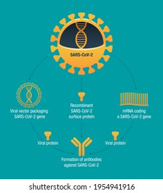 COVID-19 vaccine types poster - diagram with three vaccines for forming proteins to prompt an immune response. RNA, subunit and viral vector vaccine. Vector visual aids