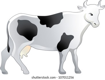 Cow