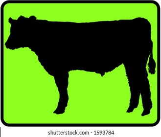 Cow