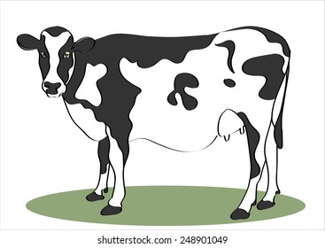 Cow