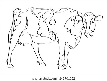 Cow