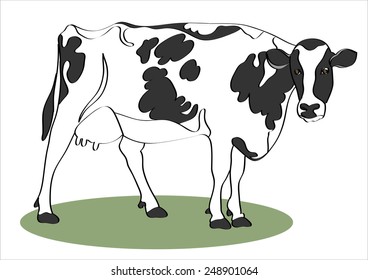 Cow