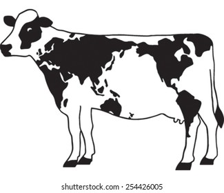 Cow