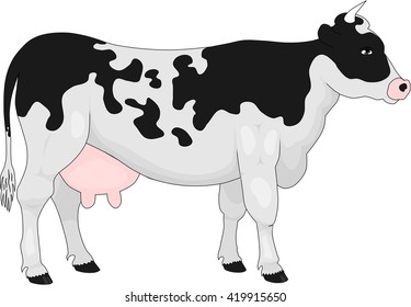 Cow